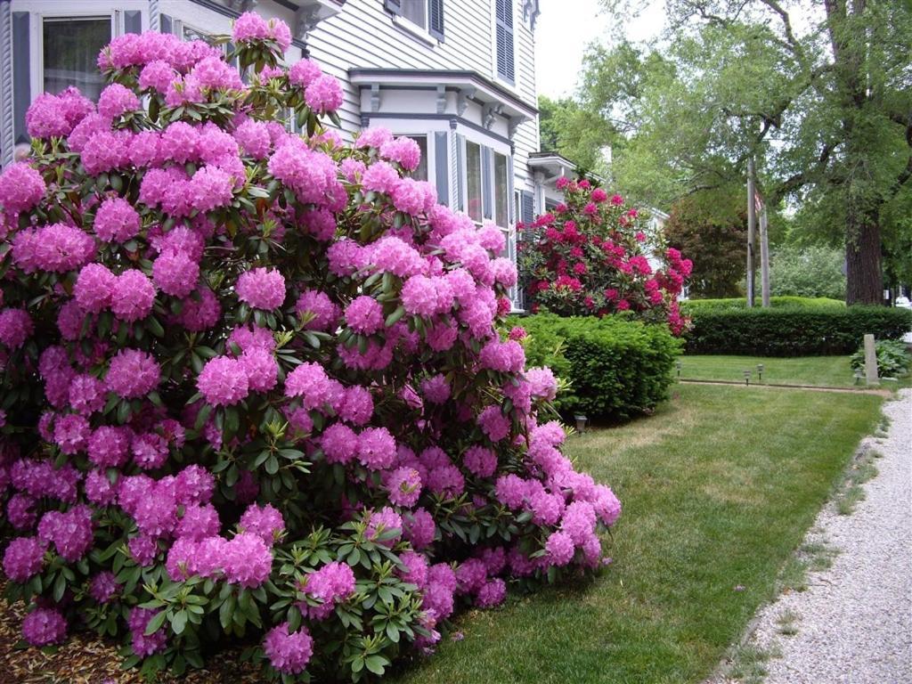 ساندويتش Isaiah Jones Homestead Bed And Breakfast المظهر الخارجي الصورة